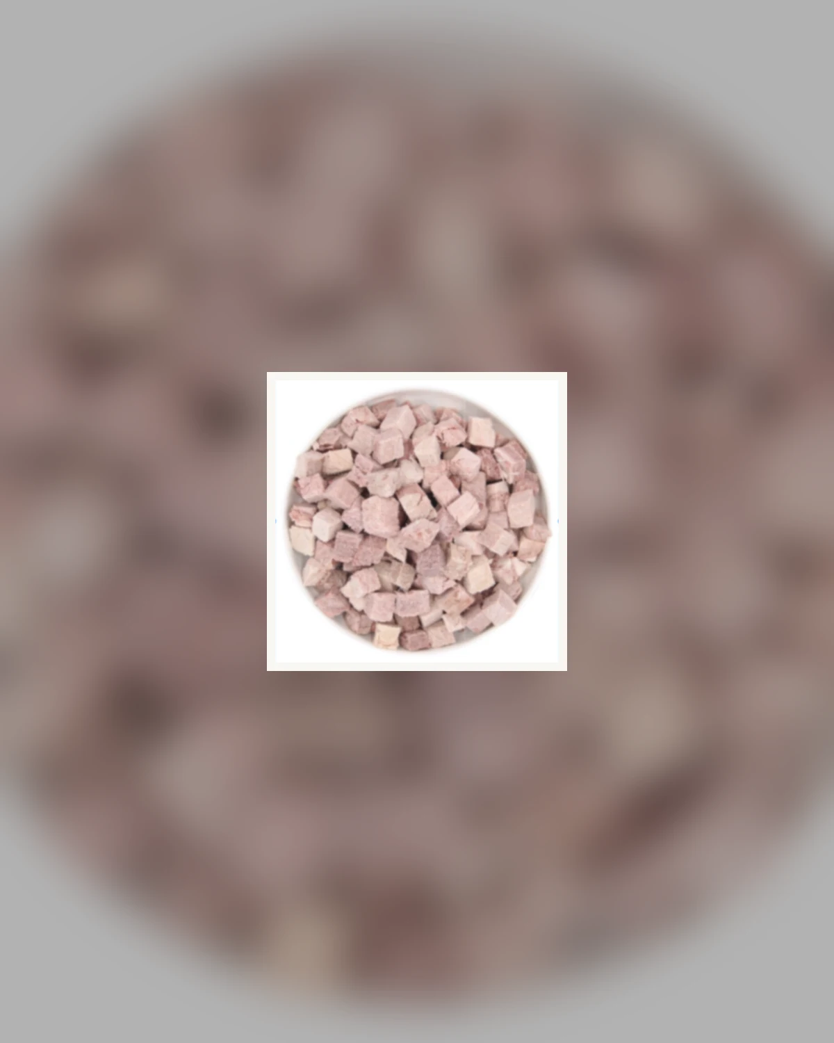 露肚皮骰子牛凍乾實拍